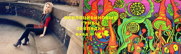 скорость Покачи