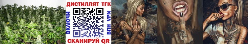 закладки  KRAKEN   ТГК гашишное масло  Тихорецк 