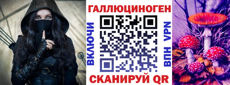 Псилоцибиновые грибы Cubensis  Тихорецк 