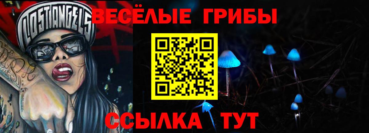 Галлюциногенные грибы Magic Shrooms Тихорецк