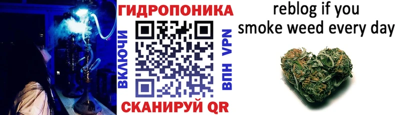 купить закладку  Тихорецк  Канабис ГИДРОПОН 
